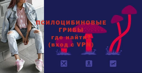СК Арсеньев